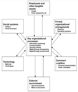 Organizational Modelling Sumber. Ward. 2009.