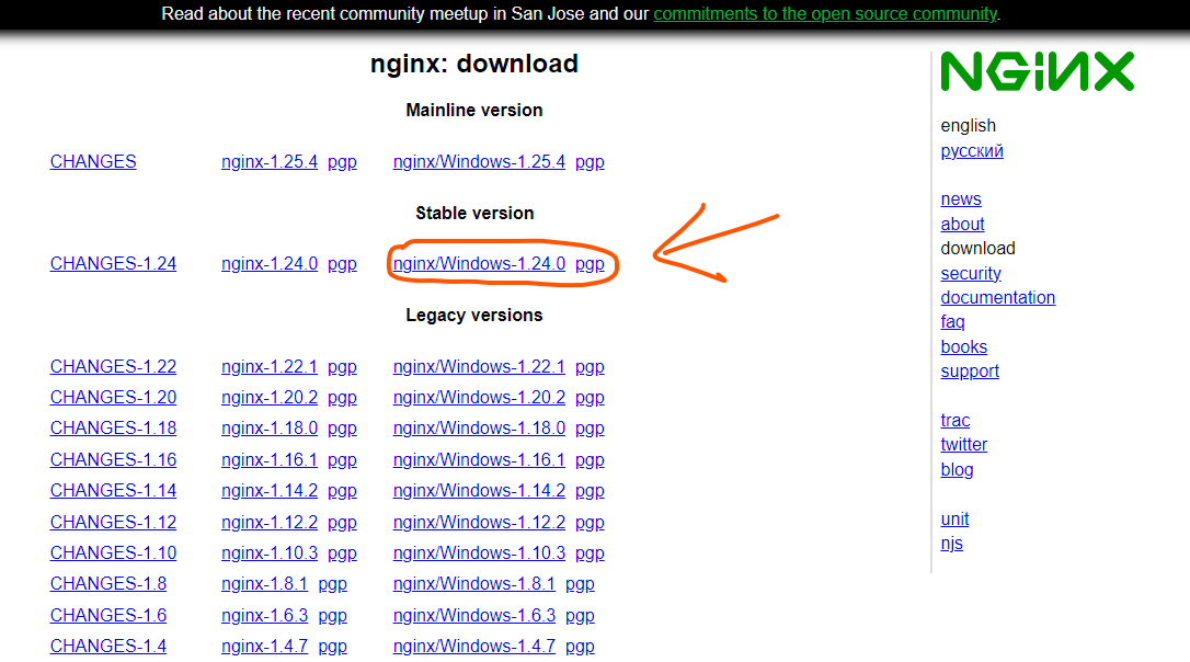 Download NGINX